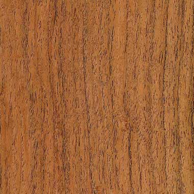 Mesquite