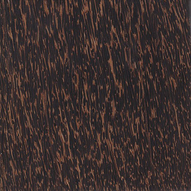 Black Palm